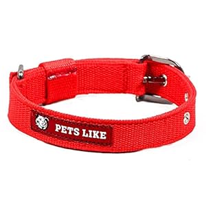 SNUNGPHIR Pets Like Polyester Collar For Dog, Red (25Mm),Pack Of 1