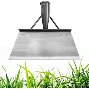CTDMJ Multifunctionele tuinschep, sneeuwschep, roestvrijstalen reinigingsschep, tuingereedschap voor boerderij, onkruid, mos, onkruid wieden, planten, onkruidverwijderaar, apparaat (25 cm)