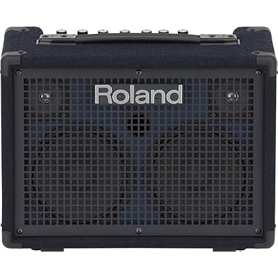 Roland KC-220 Battery-Powered Stereo Keyboard Amplifier Bundle with Gearlux Instrument Cable and Austin Bazaar Polishing Cloth
