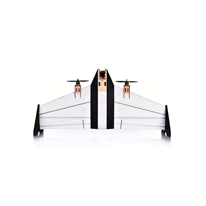 Buy Arkbird VTOL Vertical Takeoff And Landing Electric FPV RC Aircraft Airplane KIT Online at