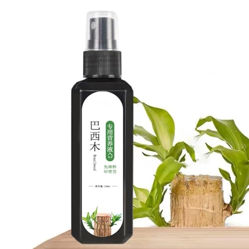 Brasilianisches Lucky Wood-Pflanzenfutter – Lucky Bamboo Flüssigdünger | Flüssiger Brasilianischer Holzdünger | 100 Ml Tablett Aus Brasilianischem Für Pflanzen