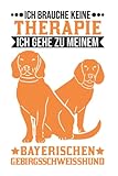  Bayerischer Gebirgsschweißhund Tagesplaner: Bayerischer Gebirgsschweißhund Therapie BGS / Kalender 2023 & 2024 / Wochenplaner Tagesplaner Planer / ... / 6x9 Zoll / 100 ausfüllbare Seiten