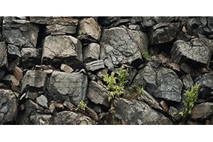 Stunning 48'x24' Fish Tank Backdrop: Realistic, Rocky Aquarium Oasis