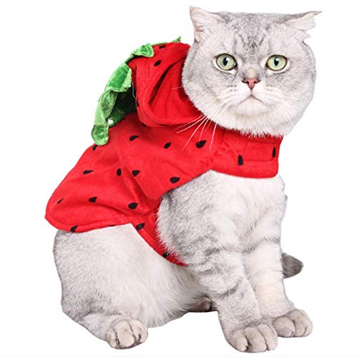 Disfraz para perro rojo con forma de fresa ANIAC