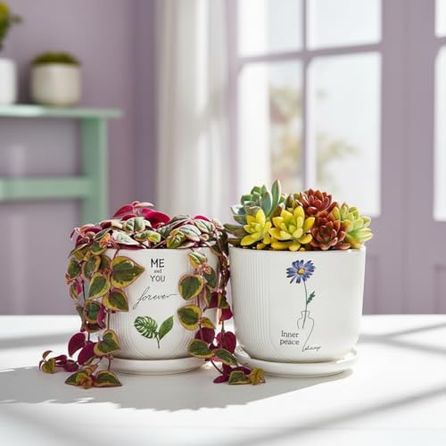 Image of Xtore Charming Printed Ceramic Planter Set of 2 with Drainage Trays | Artistic Indoor Plant Pots for Desk, Shelf & Gift Styling (Pack of 2 - Planter only)