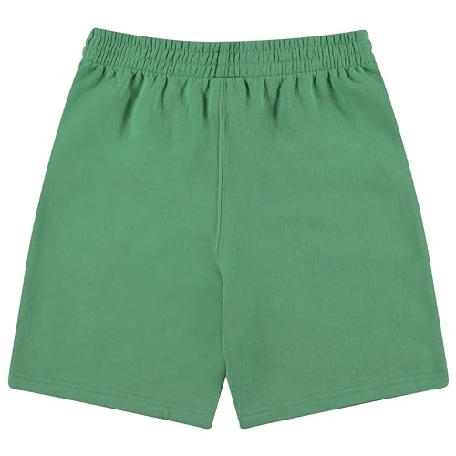 Image of Teenage Mutant Ninja Turtles Boys T-Shirt and Shorts Set, 2-Piece Summer Outfit, Sizes 2-20