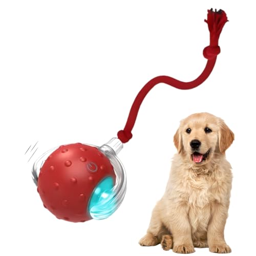 Tiny Fetch Dog Toy - Interactive Dog Toys 360Smart Automatic Rolling Electric Dogs Ball Toy with Birdsong Automatic Obstacle Avoidance Rechargeable Boredom Relief for Dogs & Cats (Red*1 PC)