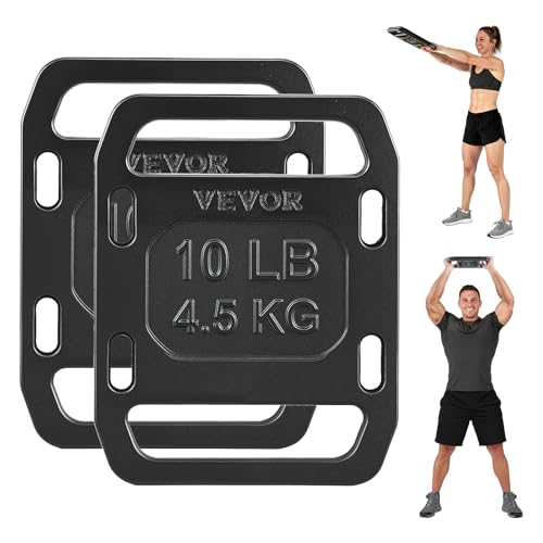 VEVOR Cast Iron Ruck Weights for Backpack 10LB Pair Ruck Plate Weight Plate with Smooth Handle Textured Finish for Rucking Hiking Swings Strength Training Weightlifting Fitness Workout