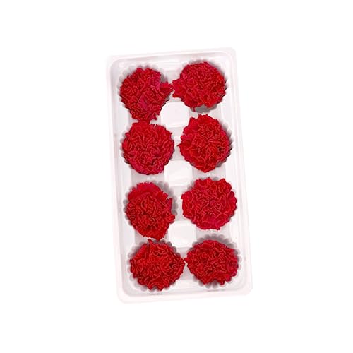 LIFKOME flores eternas secas para decoración miniatura 7