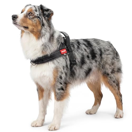 Pangdi No Pull Dog Harness with Handle, Reflective, XL