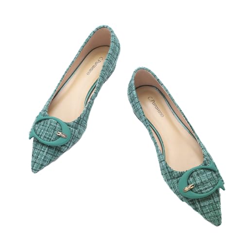 C.Paravano Women's Flats - Pointed Toe Dressy Shoes Ballet Flats Comfortable Slip on Shoes for Women Work,Daily(Size 6.5,Green Multi)