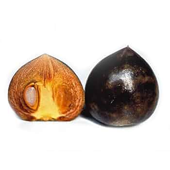 珍しい 黒柿 甘い 果樹苗木 鉢ごと発送 楽天市場】柿 苗木 苗 黒実柿《果樹苗》 黒柿 : 日本花卉