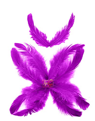 Image of Natural Dyed Feathers 10 cm (80 pieces) (Purple)