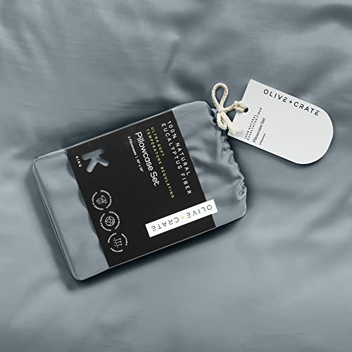 Olive + Crate Tencel Eucalyptus Cooling Pillow Cases For Hot Sleepers - Moisture Wicking, Temperature Regulating, Queen Size Silk Pillowcase - Smooth Sateen Weave, Naturally Produced (2 Pack) | Basalt #TOP4