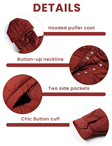 Fiona Jolin Women's Quilted Pullover Puffer Jacket Lightweight Oversized Hoodie Warm Winter Coats Outerwear3