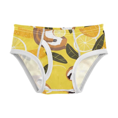 KLL Cute Sloths on Yellow Lemons Toddler Boys Cotton Boxer Briefs Breathable Undies - Main Image