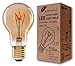 Produktbild greenandco Vintage Glühfaden LED Lampe | gold | E27 A60 | 3W 210lm | 2000K extra warmweiß | 360° | 230V | flimmerfrei | nicht dimmbar