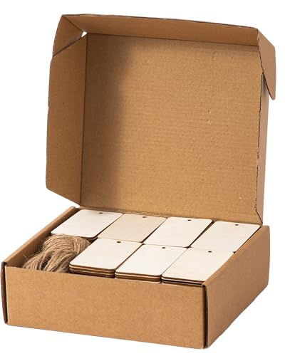 205 Pcs 3 in Wood Tags with Hole and Twine Blank Wooden Tag Unfinished Wood Labels for Crafts