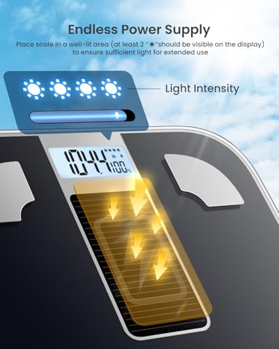 RENPHO Smart Scale with Endless Power, Solar-Powered Scale for Body Weight, No Batteries Needed, Digital Bluetooth Body Fat Scale, Body Composition Monitor with Smart App, 400 lbs-Elis Solar 1