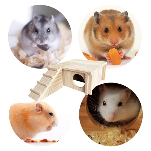 Cabane pour hamster avec rampe d'escalade pour cage de souris et gerbille - 5