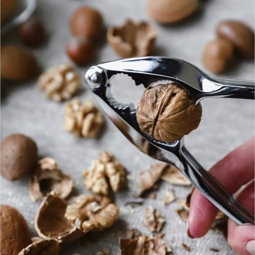 Tala Nutcracker, Made with Steeel and with a Traditional Heavy Duty Design and Curve Grip Handle, Ideal for Opening Walnuts, Hazelnuts, Almonds and Pecans - Image 5