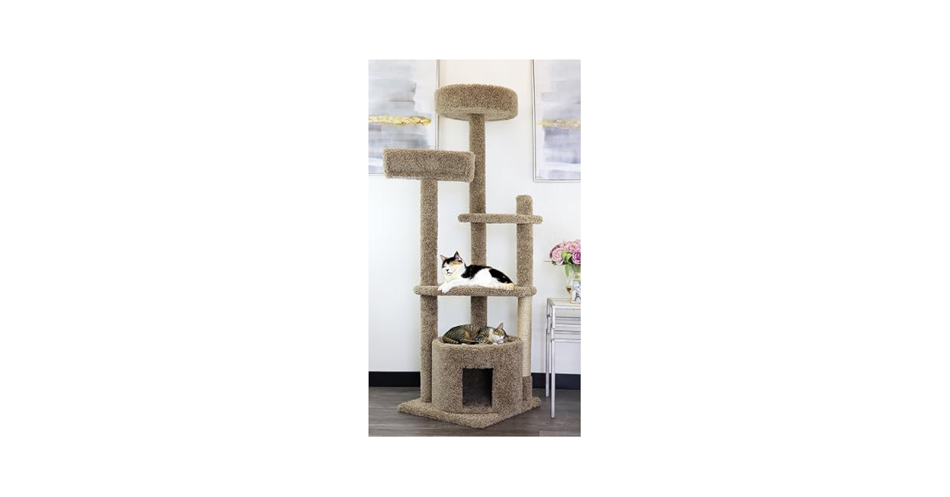 Amazon.com : New Cat Condos 64