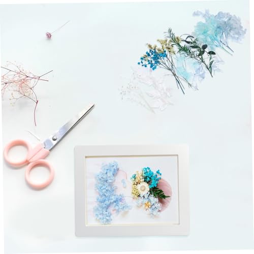 Kit de flores secas para manualidades y decoración miniatura 5
