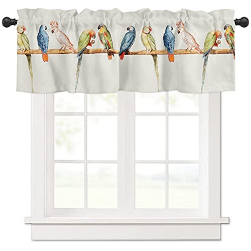 JtFJ[e  CR  Ց UVJbg C  o Z J[e Ԏd؂ډB J[e Lb` {[_[ ʏ  iX 1 107cm x 45cm