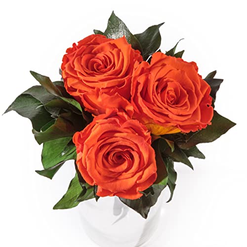 Blumenstrauss konserviert mit 3 Rosen - Rosemarie Schulz (Orange)