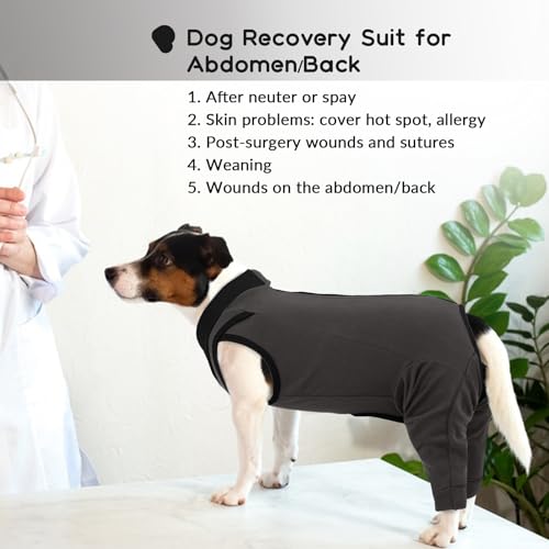 PUMYPOREITY Hundebody mit Beinen, Hundebody Hinterbeine Hunde Op Body Rüde Bandage Hinterbeine Hundeschenkel Schutz Langatmig Body(Grau, M)