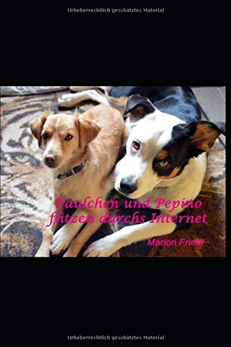 Paulchen und Pepino flitzen durchs Internet