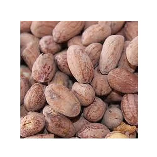 Image of Avenn Roasted Salted Peanuts Seed With Skin Can Removed (Bharuch Gujarat Special) Mungfali Dana | Namkeen | Diwali Festival Celebration | Gift Pack for Family, Friends Snack (Without Skin) (600 GM)
