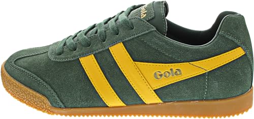 Image of Gola Harrier