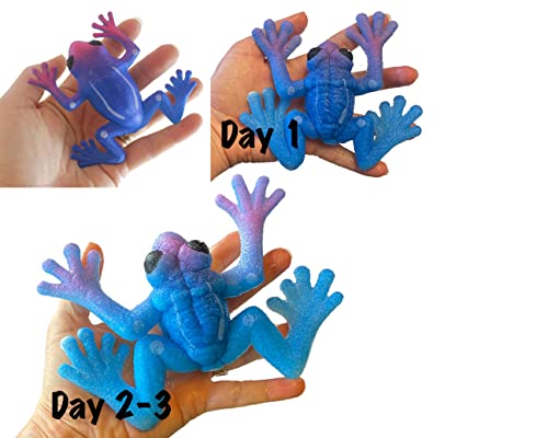 All 4 Large Grow a Frog in Water - Add Water and it Grows up to 7\" - Froggy Lover Gift - Fun Sea Critter Toy Bath Fun Science Expanding Novelty Magic Absorbent Polymer Toy - Thumbnail 2