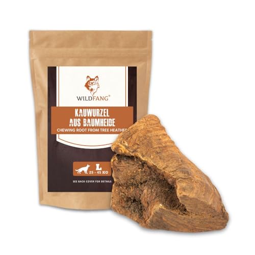 Wildfang® Kauwurzel aus Baumheide für Hunde, Größe L - Natürliches Kauspielzeug Hund, splitterfreies Hundespielzeug unzerstörbar zur Zahnpflege Hund & Welpenspielzeug (für Hunde 25–45 kg), 1 Stück
