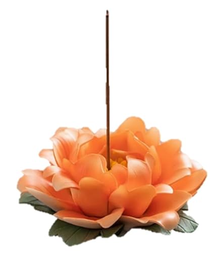 speed mao  O F  낤 z_[  N[[V Ȃǂ IW