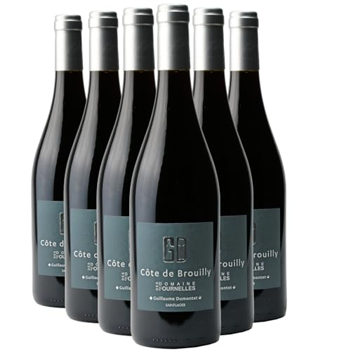 Côte de Brouilly Tradition Tinto 2023 – Gamay DOP Beaujolais – Domaine des Fournelles Côte de Brouilly Tradition Tinto 2023 – Gamay DOP Beaujolais – Domaine des Fournelles