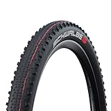 Schwalbe