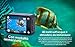 COOAU Native 4K 60fps 20MP Touch Screen WiFi Action Sport Camera EIS...
