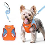 rabbitgoo Dog Harness Small Sized and Leash Set, Step in Soft Light Puppy Vest, Breathable Mesh Pet Harness, Reflective for Safe Easy Walking, Blue & Orange XS