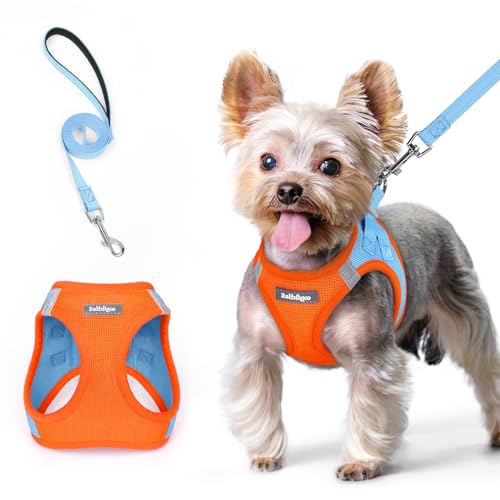rabbitgoo Dog Harness Small Sized and Leash Set, Step in Soft Light Puppy Vest, Breathable Mesh Pet Harness, Reflective for Safe Easy Walking, Blue & Orange XS