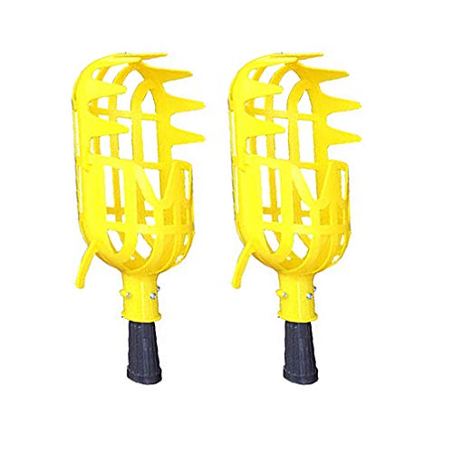 Yardwe Fruit Picker Head Basket or Fruit Picking Tools Fruits Catcher for Harvest Picking Apple Citrus Pear Peach Metal fruit picker Agricultural garden hardware tools Pack of 1 (L)