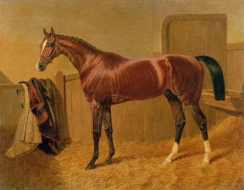 Imagen de lienzo pintura famosa decorativa de John Frederick Herring Senior cuadro pared 60x90cm