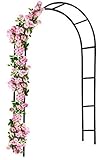El producto se envía en el embalaje original. El kit incluye una pérgola y 4 anclajes de fijación. Dimensiones del producto: 240 x 140 x 38 cm