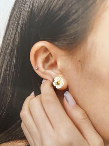 �� �� �s�A�X ���Ԃ� �r�[�Y