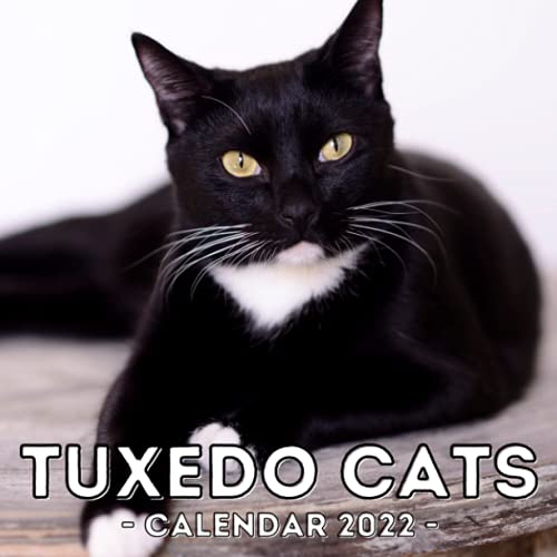 Tuxedo Cats Calendar 2022: 16-Month Calendar, Cute Gift Idea For Tuxedo Lovers, Women & Men