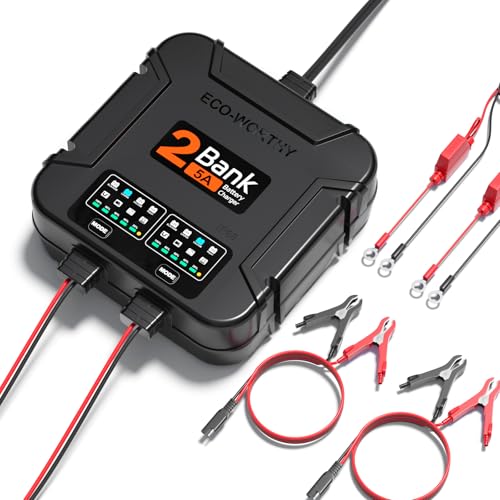 ECO-Worthy 2-Bank Marine Battery Charger 10A (5A/Bank), IP68 Waterproof 12V Charger & Maintainer for Boat RV Car, Lead-Acid LiFePO4 & Calcium Battery Desulfator