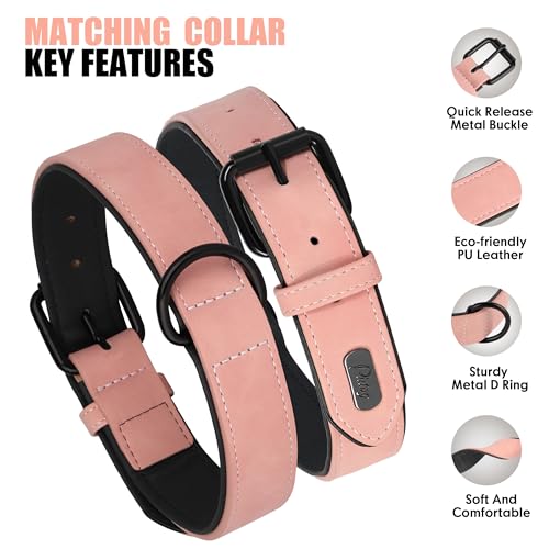 Image of Didog PU Leather Dog Collar and Leash Set, Soft Padded, Pink, Neck 18-22 inch
