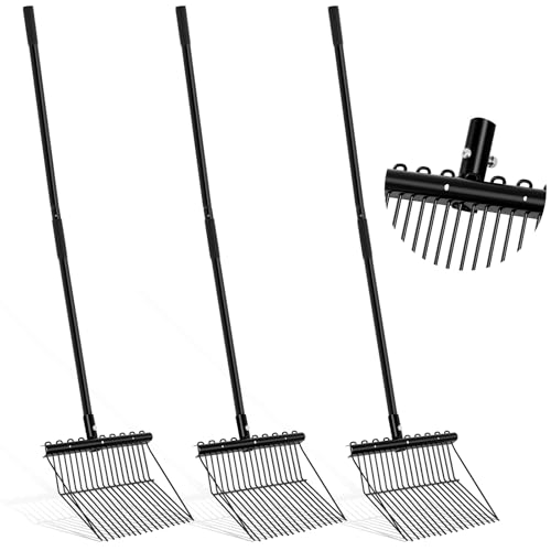 Best Horse Poop Rake