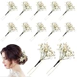 Daifunli 12 Pcs Baby's Breath Hair Pins for...